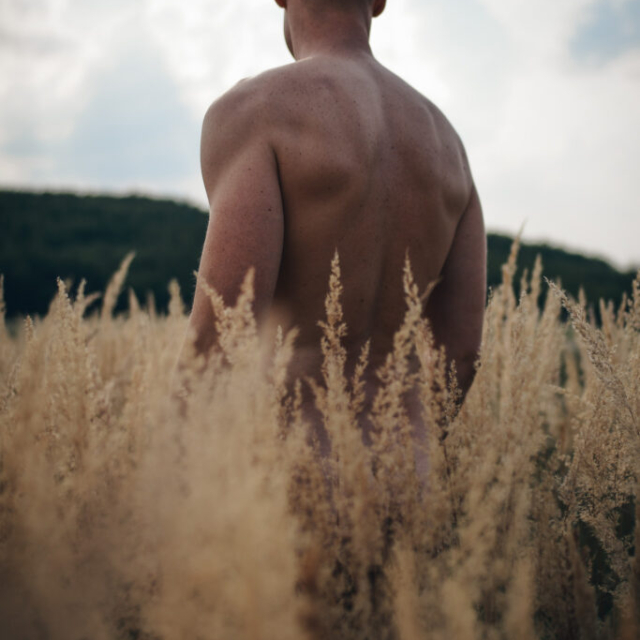 An artistic, sensual portrait of a naked man named Miloš, seen through dry blades of tall grass. A coniferous forest can be seen in the background.