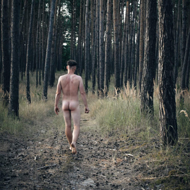 Artistic portrait of an athletic male model walking into a beautiful pine forest. Bold outdoor premium male photography teaser.
