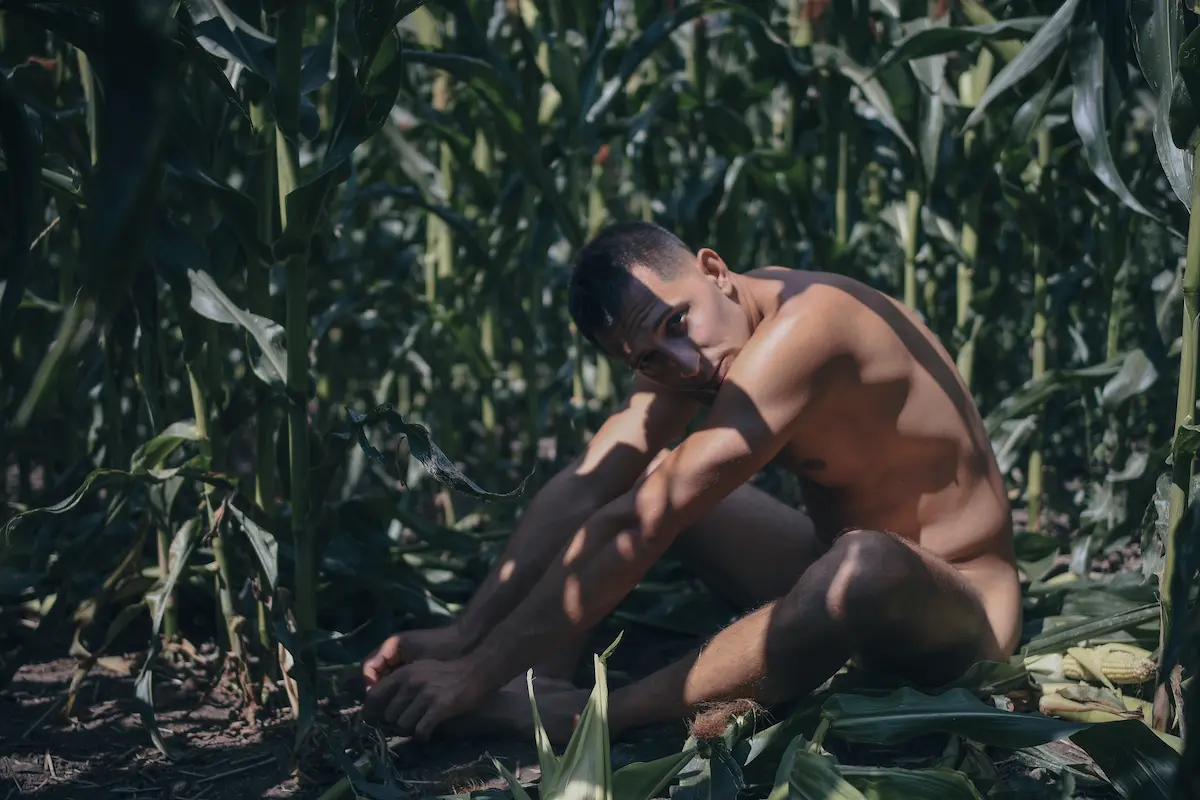A cinematic shot of a young man sitting in the center of a dense cornfield, holding an intense gaze directly into the camera. Golden sunlight pierces through sharp green stalks, creating a moody, atmospheric portrait that captures raw human emotion in nature.